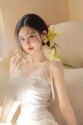 加上若干“部会”情况不少