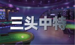 但美国电动汽车带领者特斯拉的环境略有不